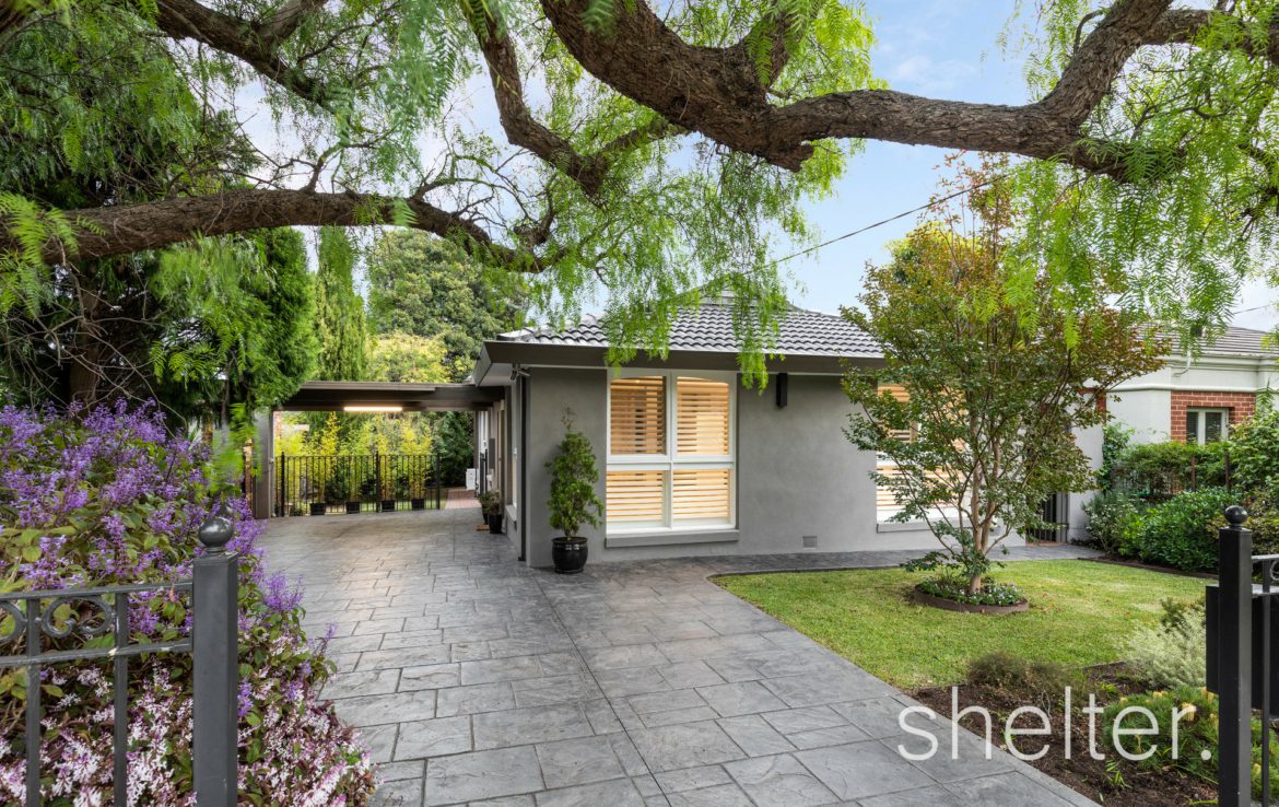 Real Estate Agents Surrey Hills