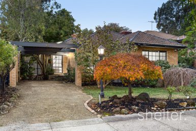 Real Estate Agents Glen Iris