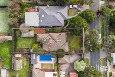 Real Estate Agents Glen Iris