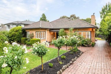 Real Estate Agents Glen Iris