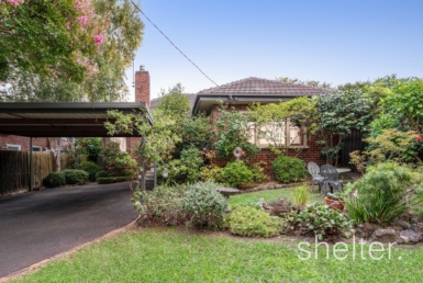 Real Estate Agents Glen Iris