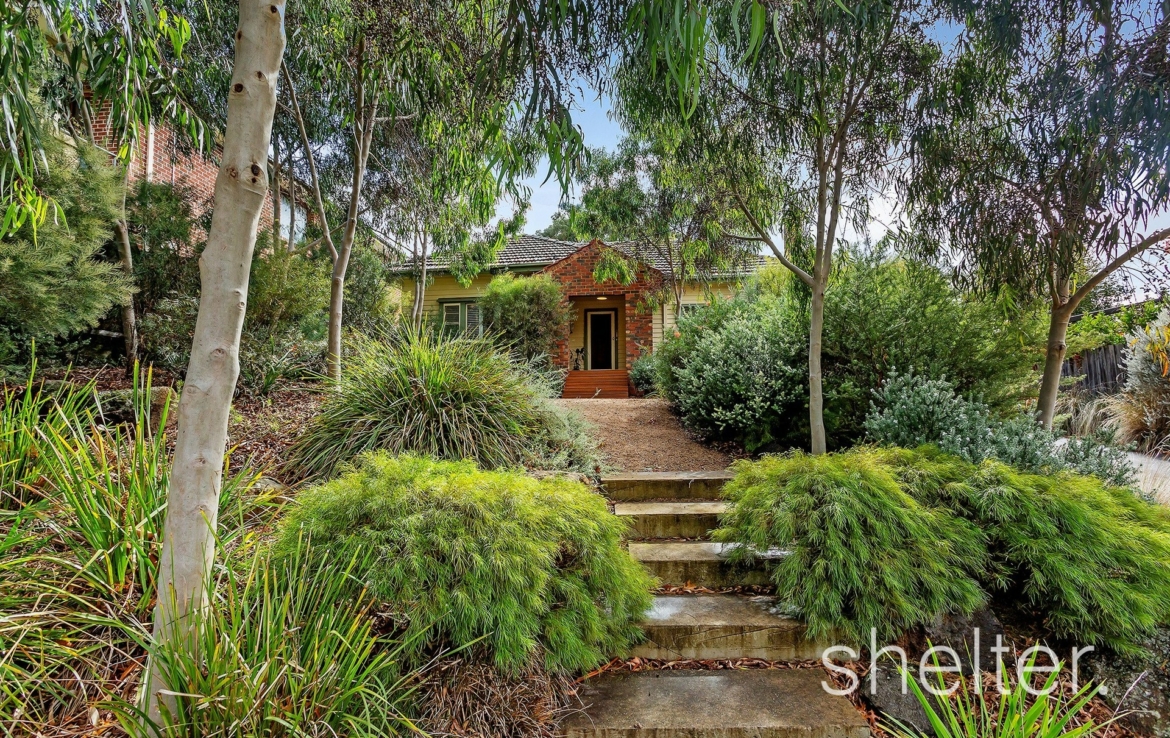 Real Estate Agents Glen Iris